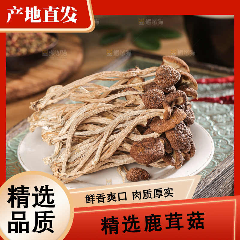 深底上的鹿茸菌