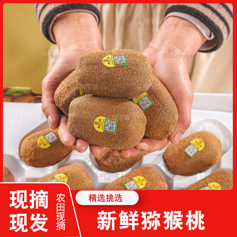 浅底上的猕猴桃