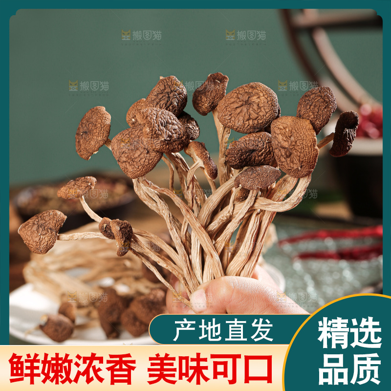 深底上的鹿茸菌