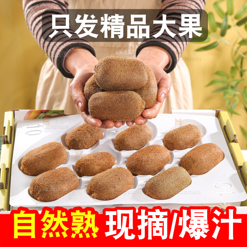 浅底上的猕猴桃