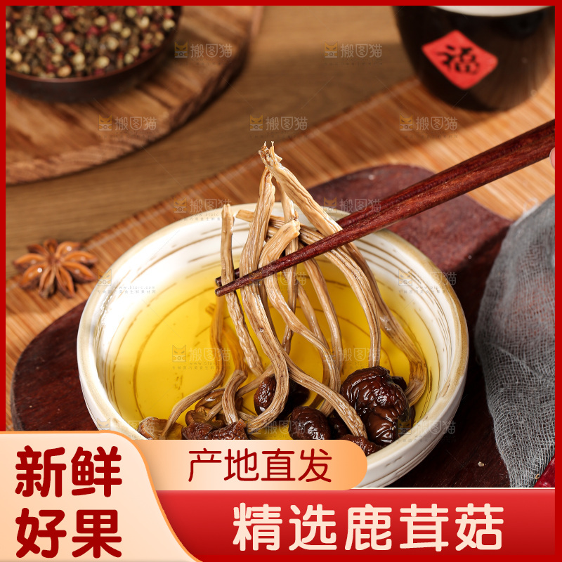 深底上的鹿茸菌