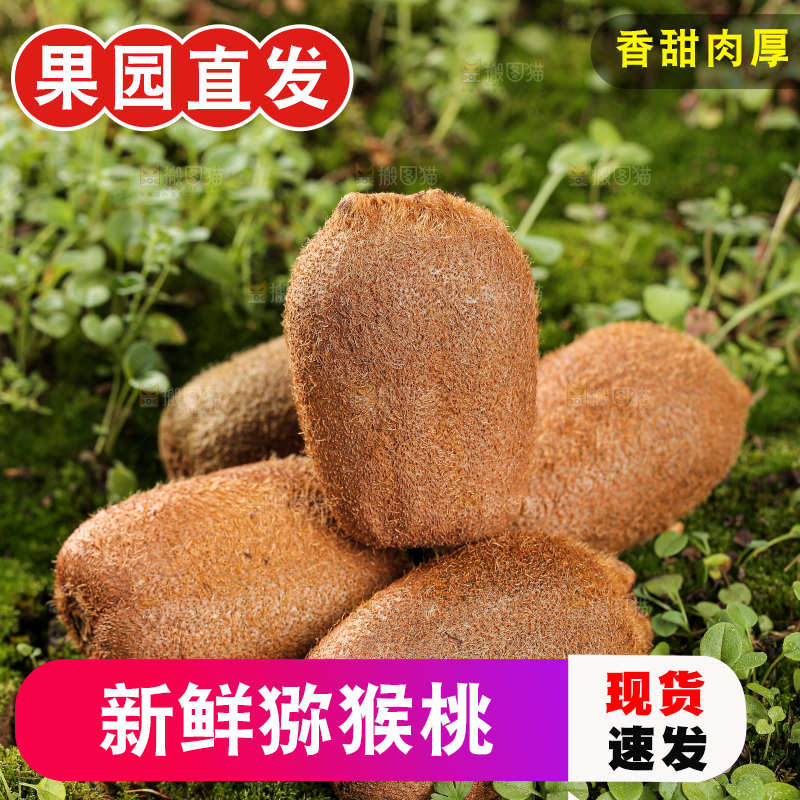 深底上的猕猴桃
