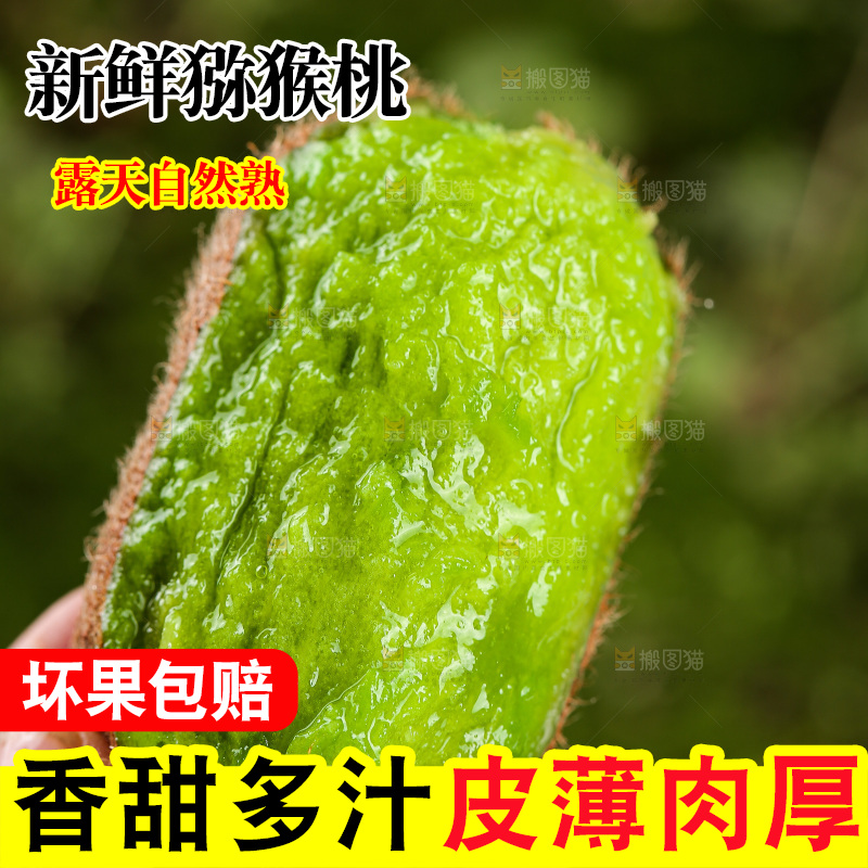 深底上的猕猴桃