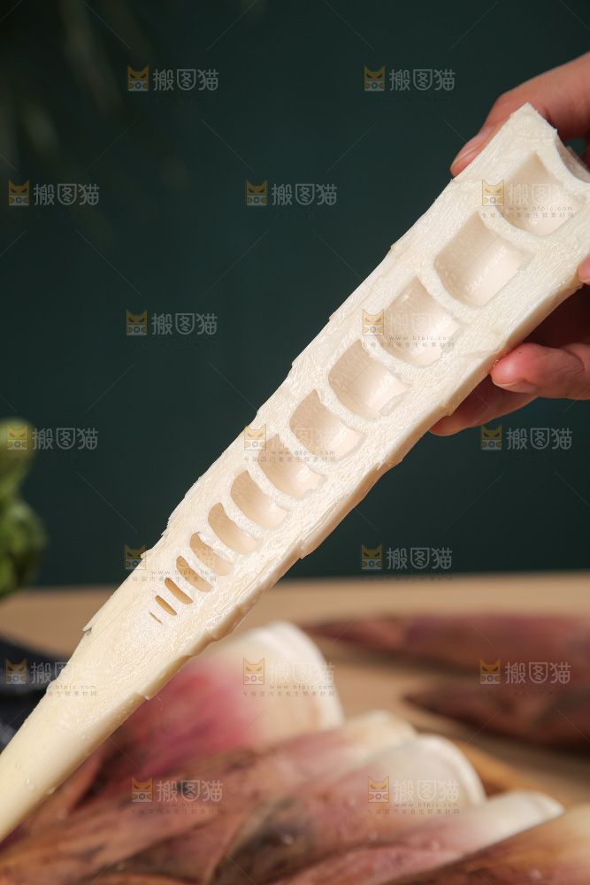 深底的雷竹笋