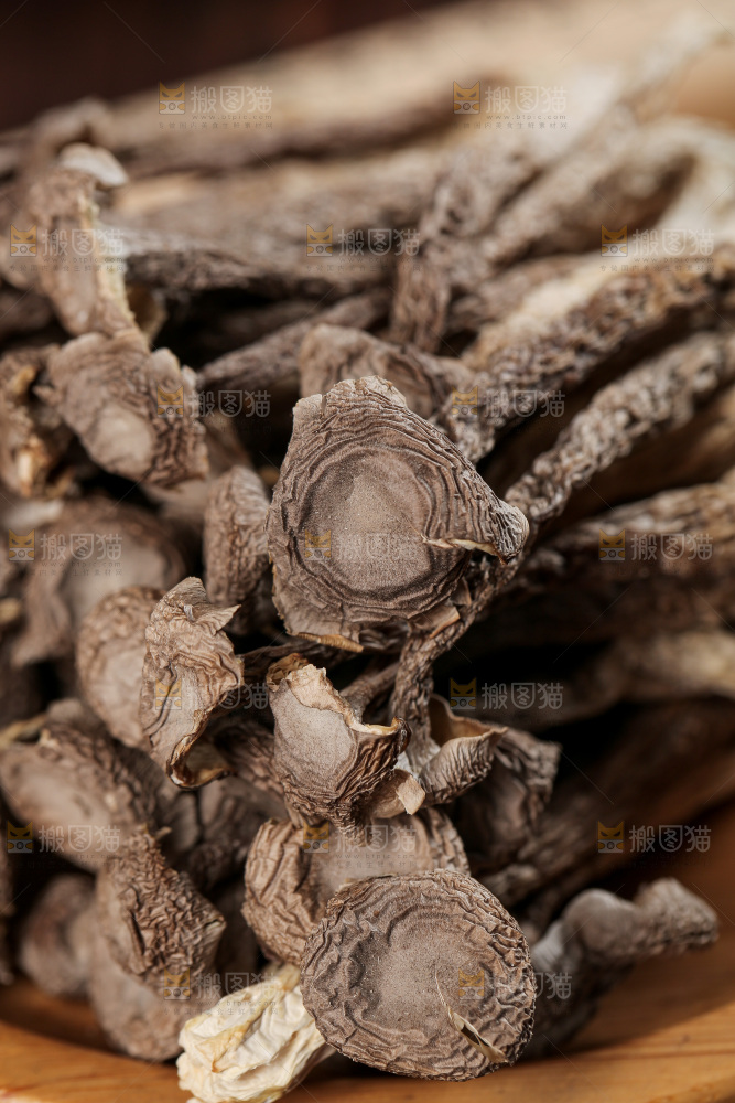 深底上的鹿茸菇