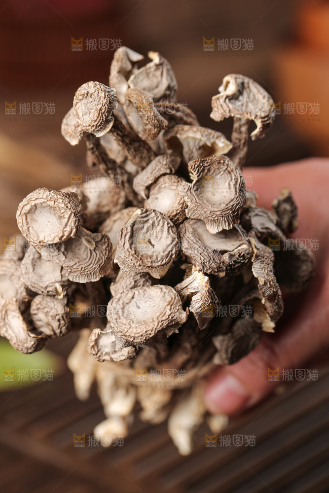 深底上的鹿茸菇