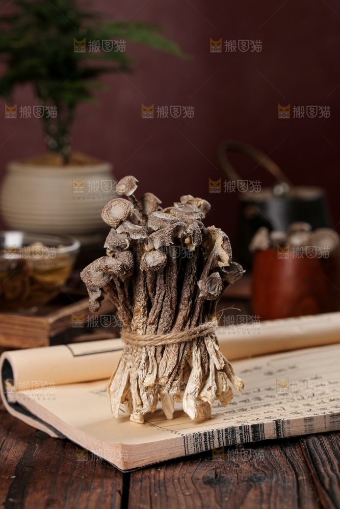 深底上的鹿茸菇