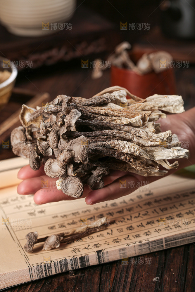 深底上的鹿茸菇