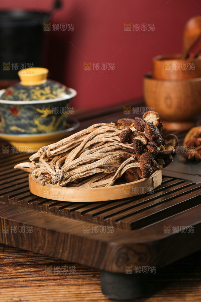 茶树菇