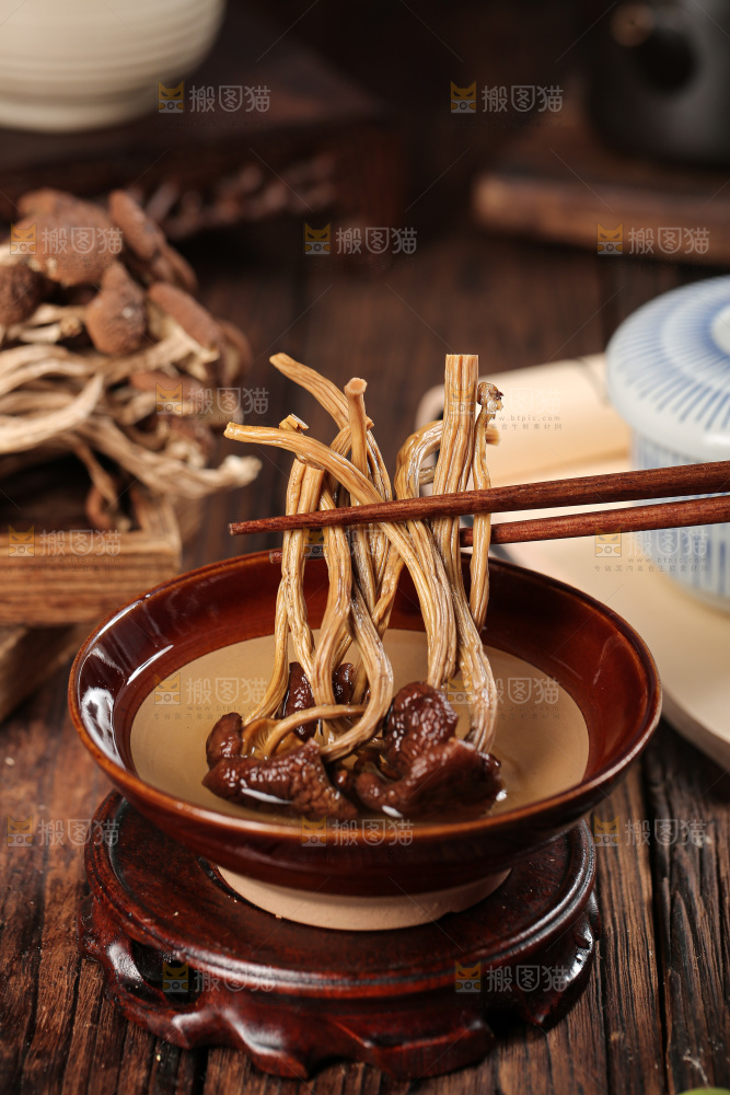 茶树菇