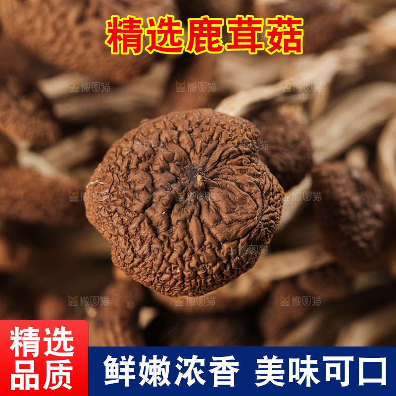 深底上的鹿茸菇