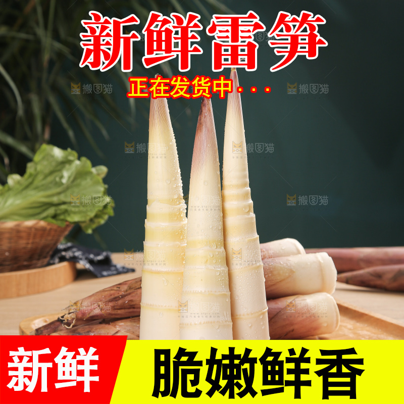 深底的雷竹笋
