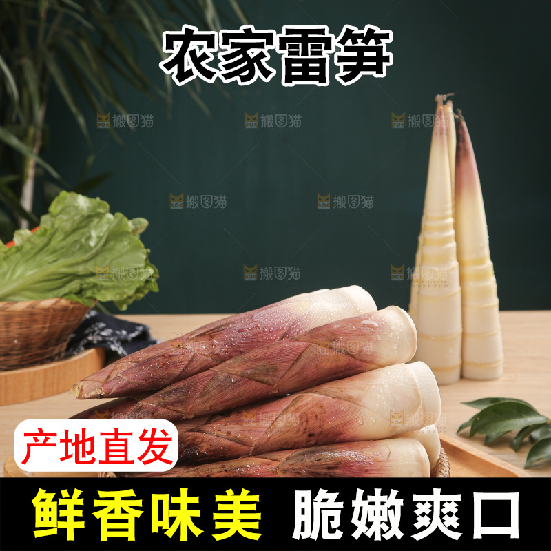 深底的雷竹笋