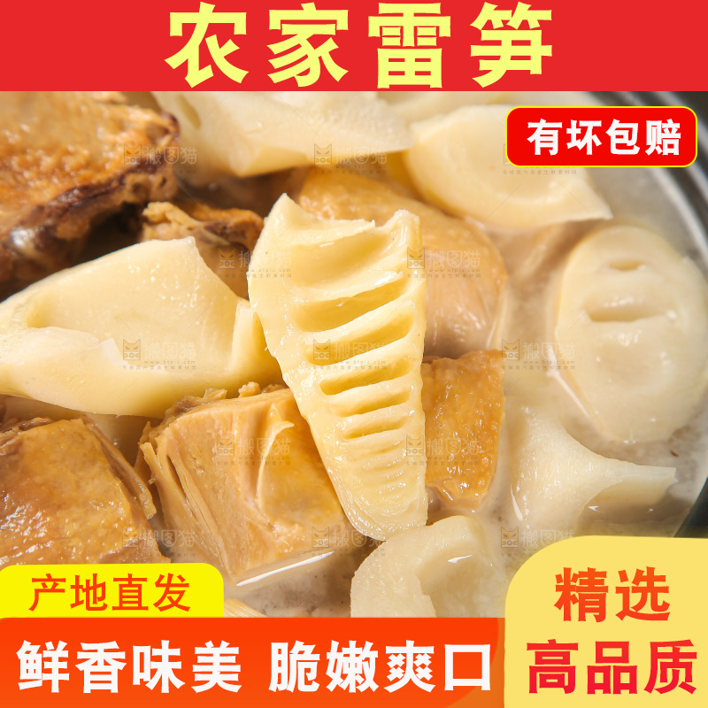 深底的雷竹笋