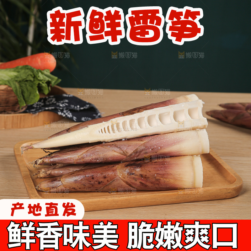 深底的雷竹笋