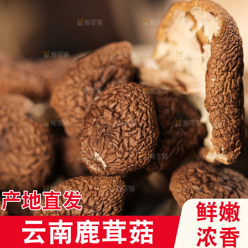 深底上的鹿茸菇