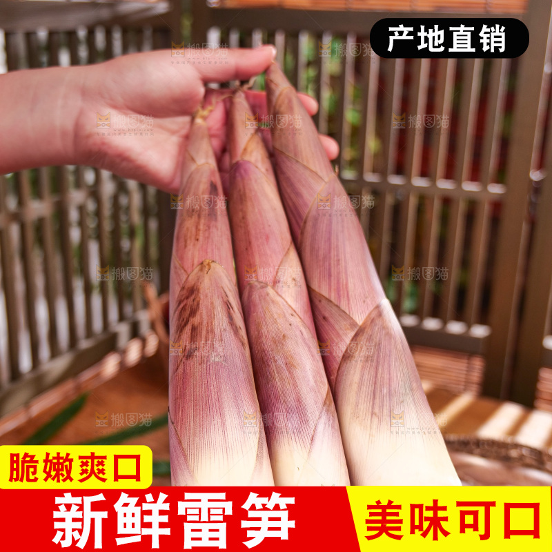 深底上的雷笋