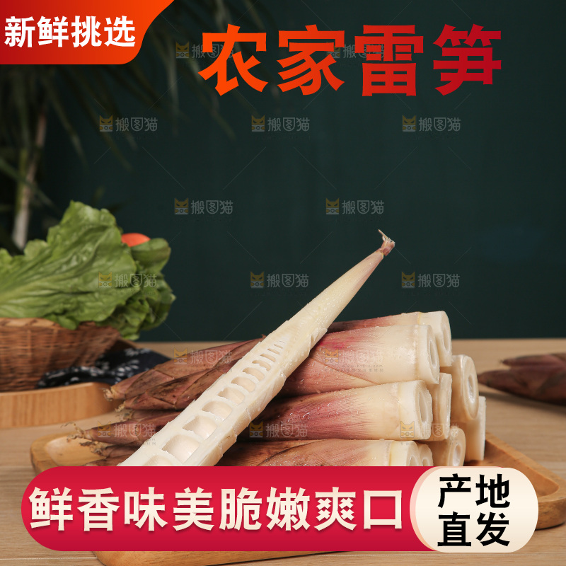 深底的雷竹笋