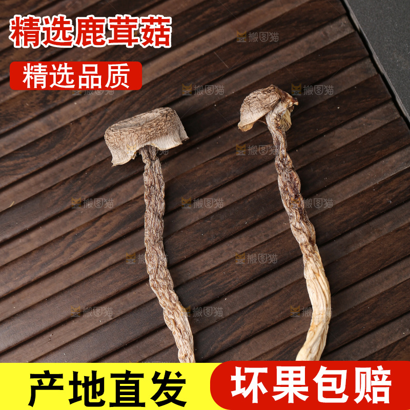 深底上的鹿茸菇