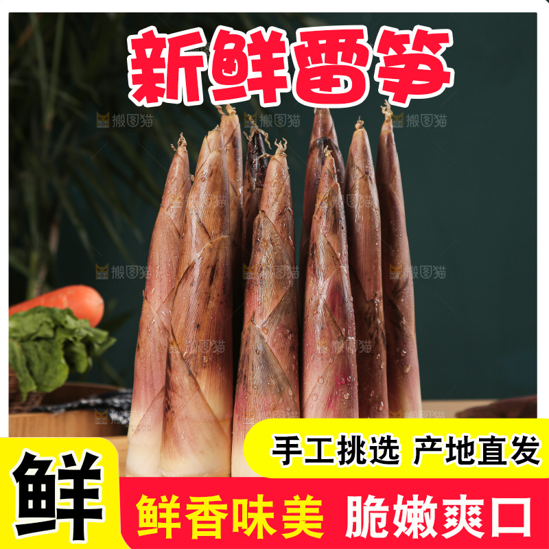 深底的雷竹笋