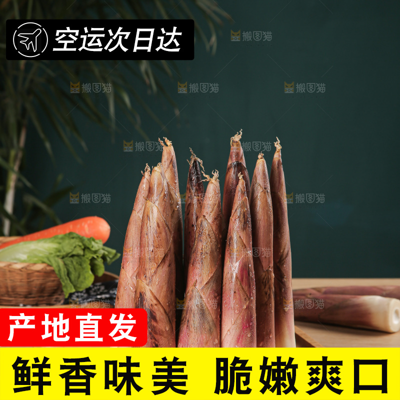 深底的雷竹笋