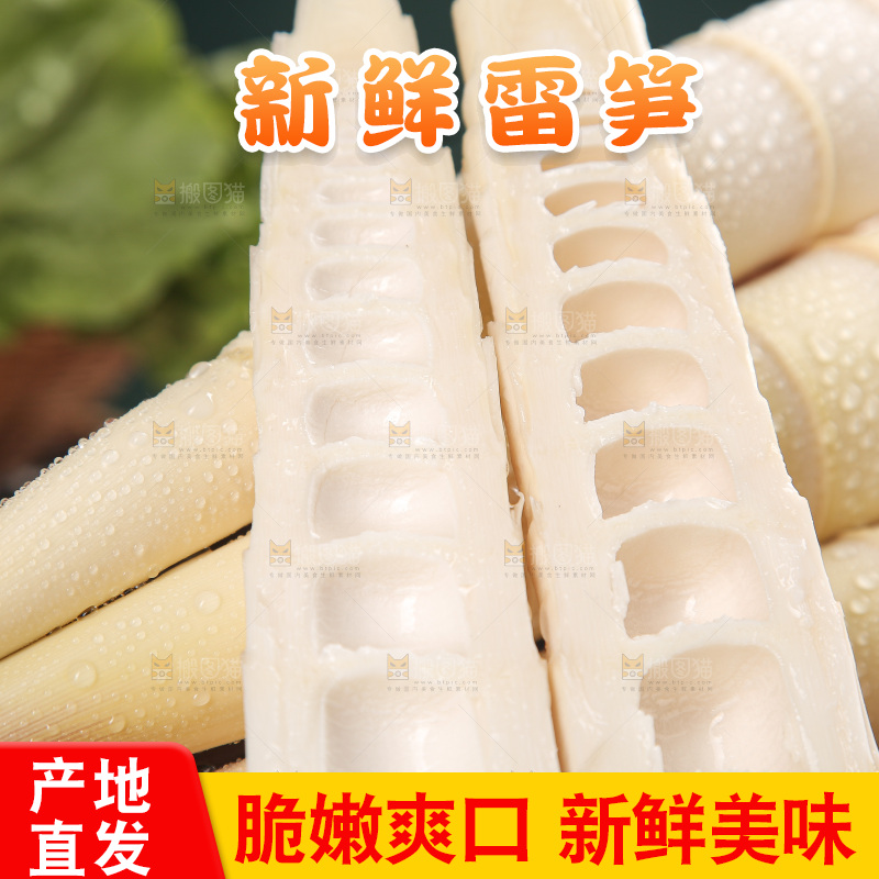 深底的雷竹笋