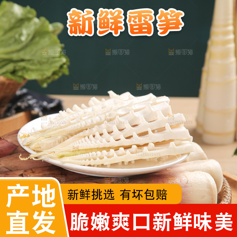 深底的雷竹笋