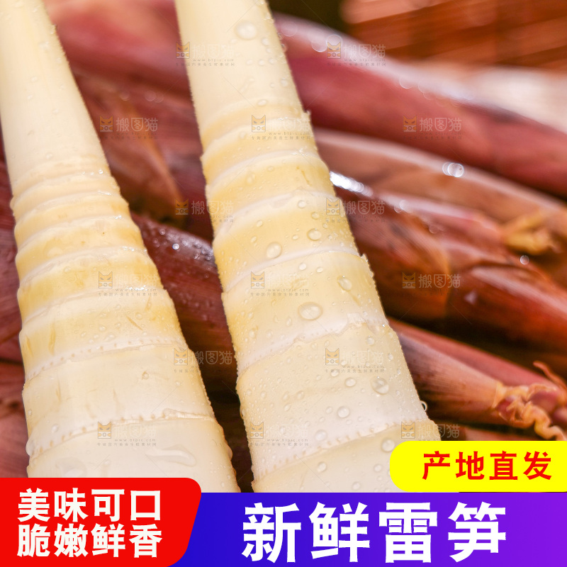深底上的雷笋