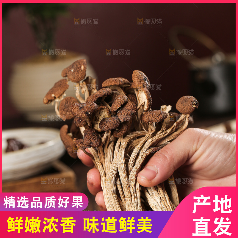 深底上的鹿茸菇