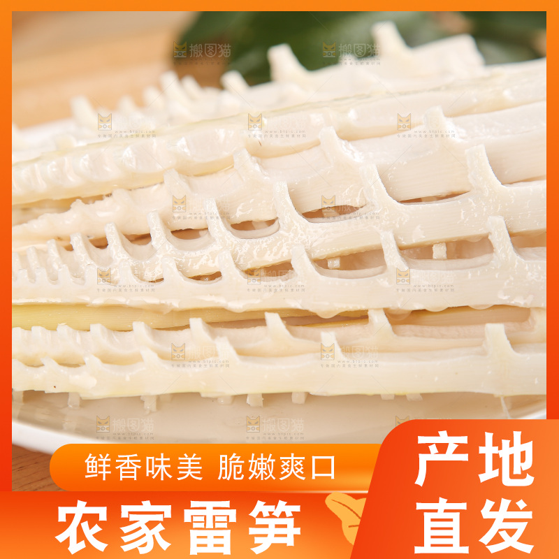 深底的雷竹笋