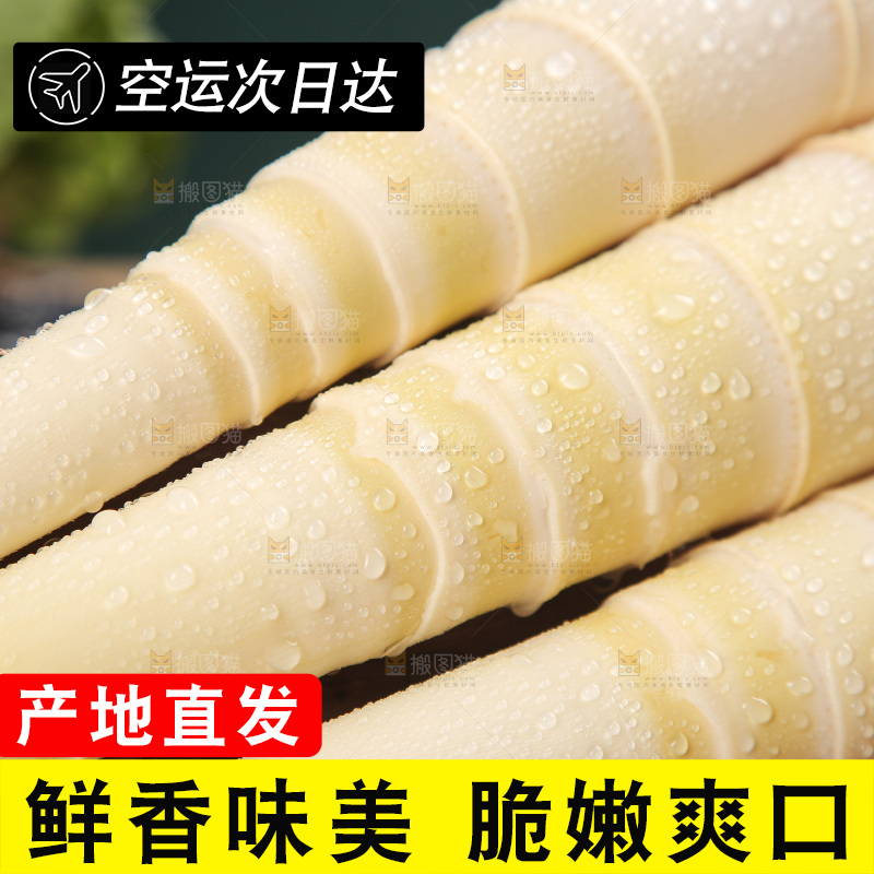 深底的雷竹笋
