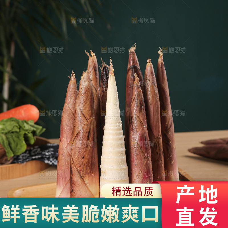 深底的雷竹笋