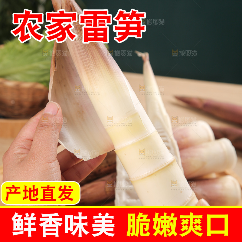 深底的雷竹笋