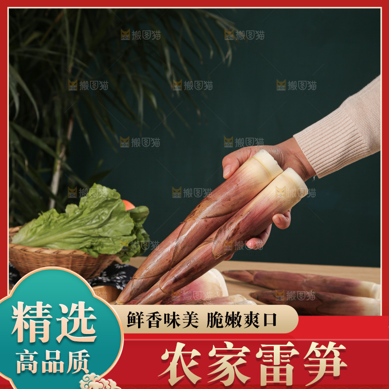 深底的雷竹笋