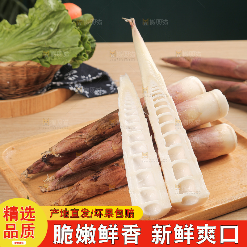深底的雷竹笋