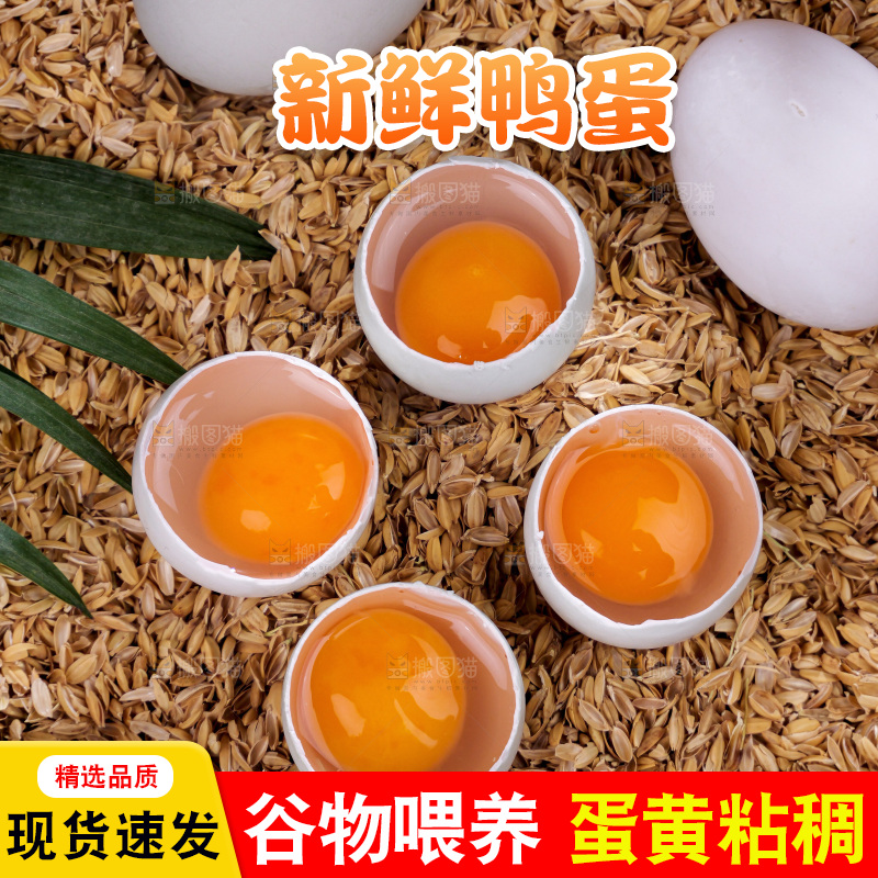 深底上的鸭蛋