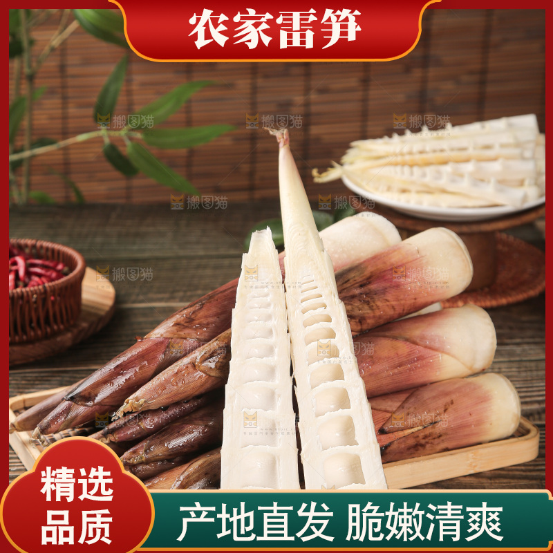 深底的雷竹笋