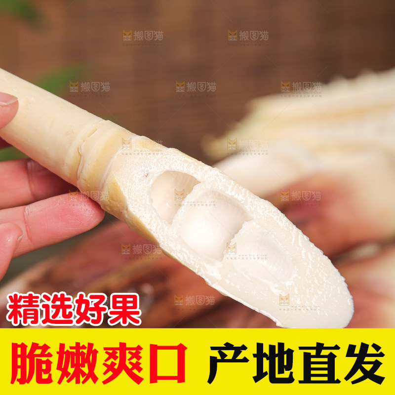 深底的雷竹笋