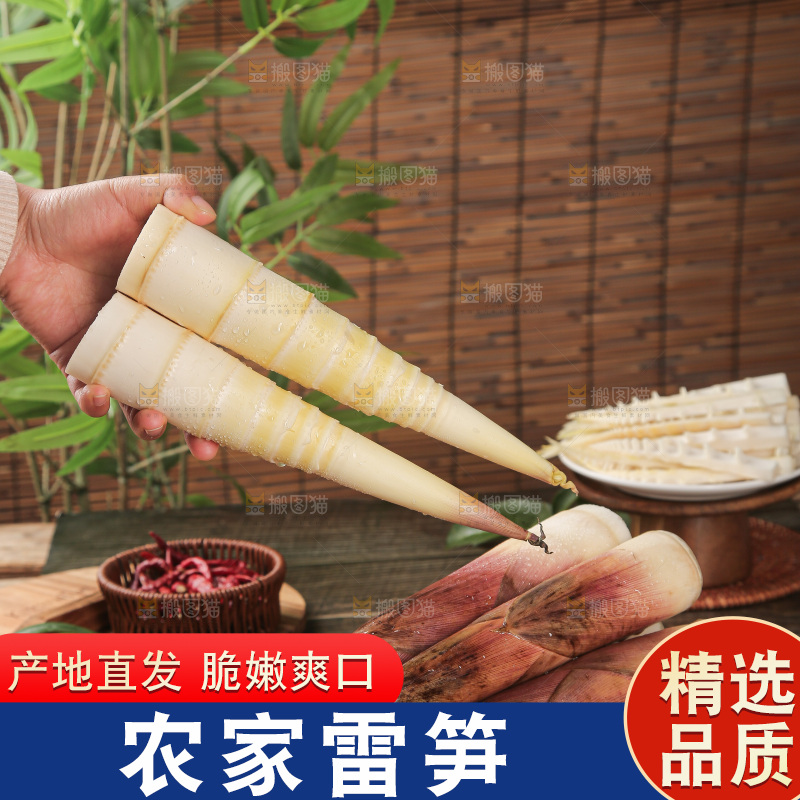 深底的雷竹笋