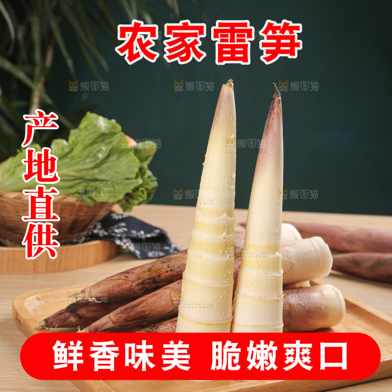 深底的雷竹笋