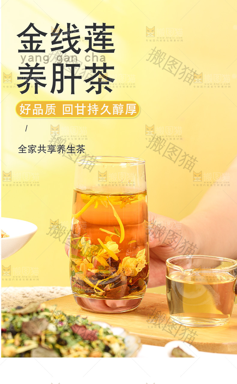 金线莲养肝茶