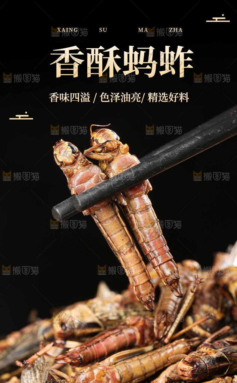 香酥蚂蚱详情页