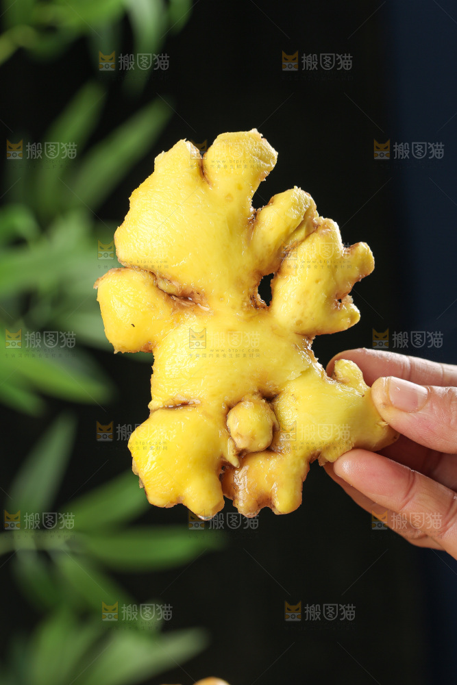 深底上的小黄姜
