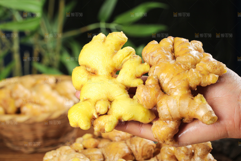 深底上的小黄姜