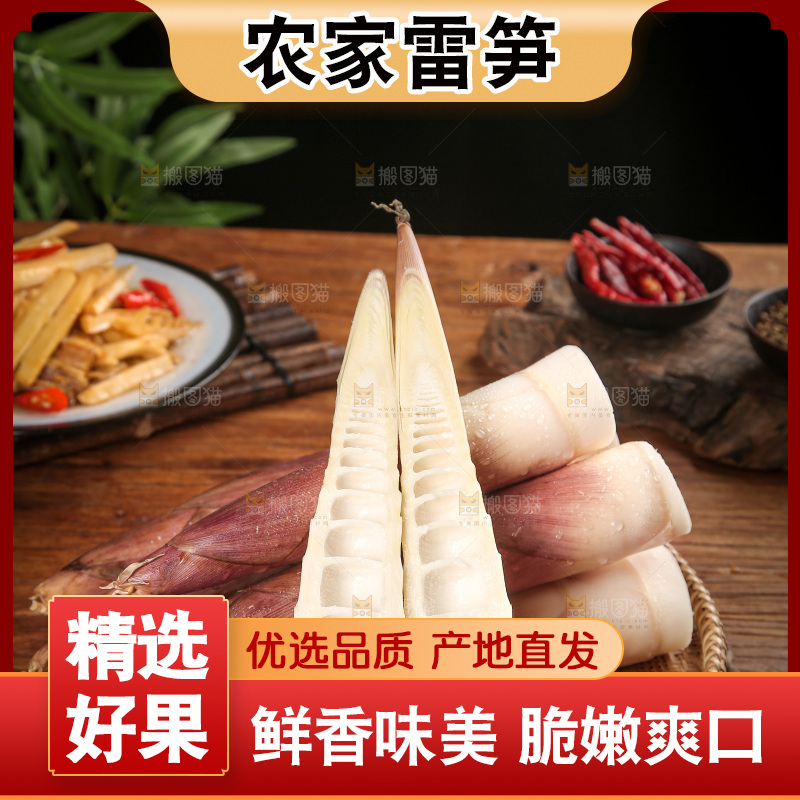 深底上的雷笋