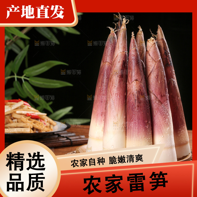 深底上的雷笋