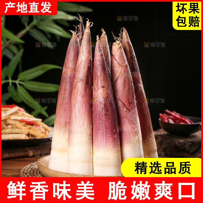 深底上的雷笋