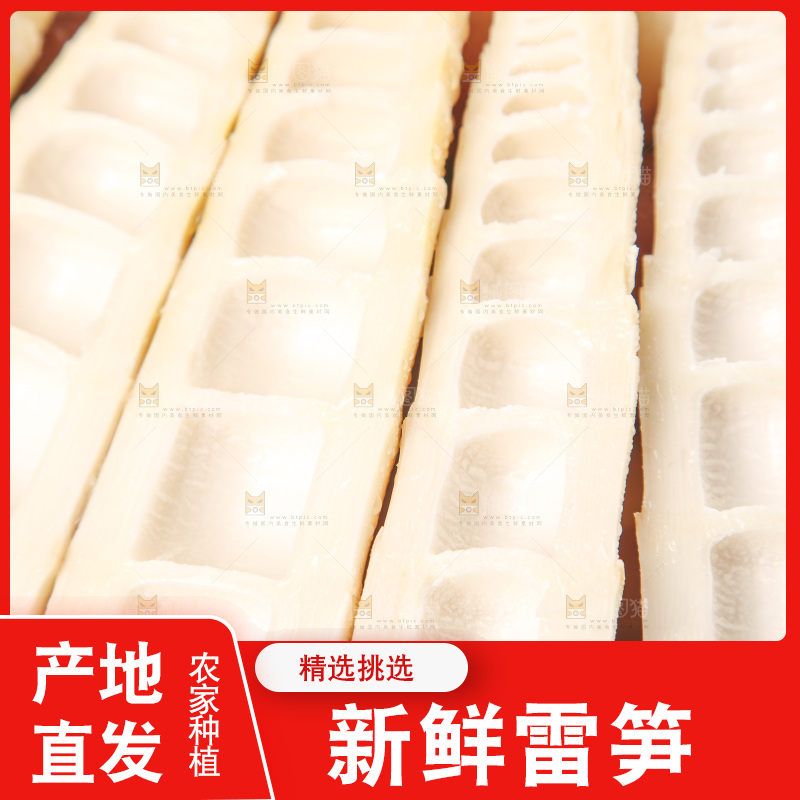 深底上的雷笋