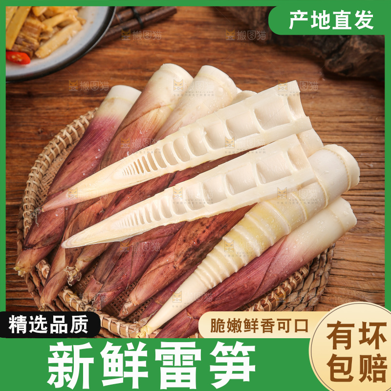 深底上的雷笋