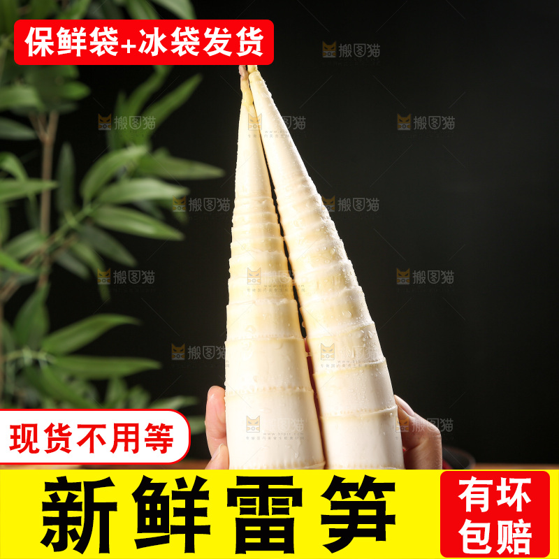 深底上的雷笋